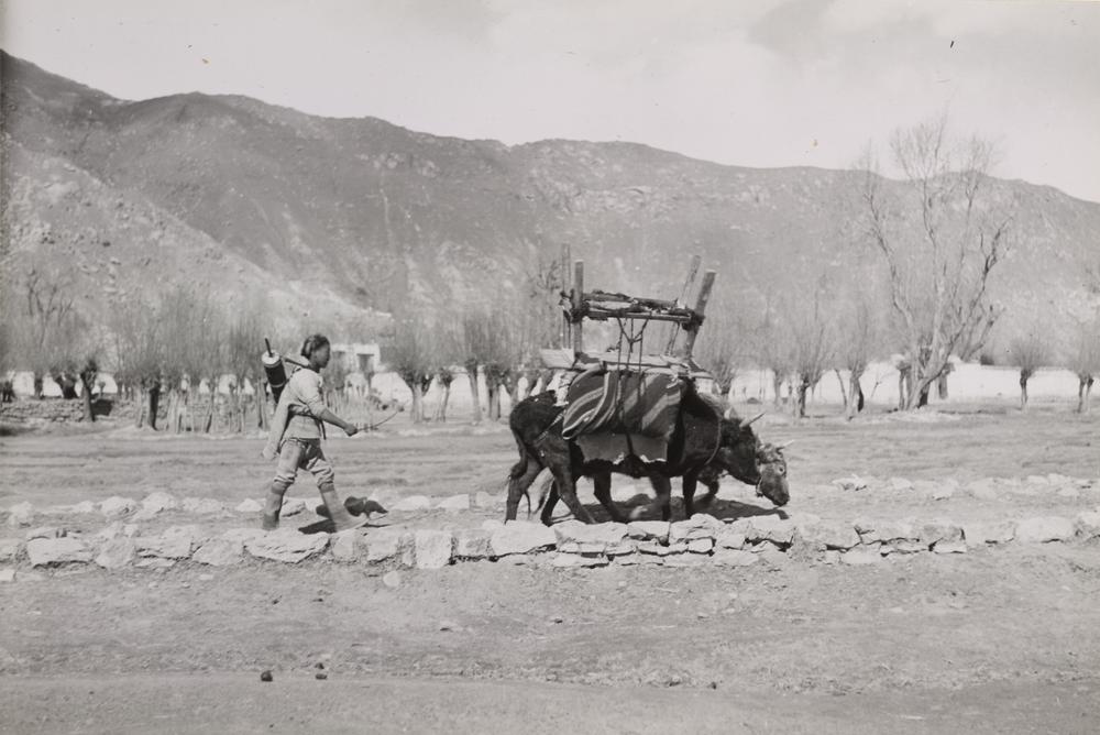 图片[1]-photographic print(black and white); album BM-1986-0313-0.1.195-China Archive